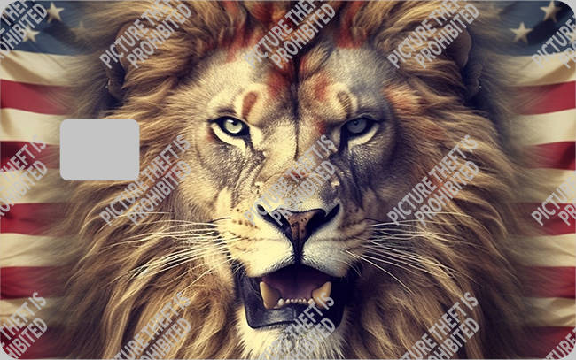 Bank  Card Sticker-BC-1533
